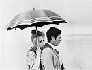 FAYE DUNAWAY and MARCELLO MASTROIANNI in PLACE FOR LOVERS -1968 ...