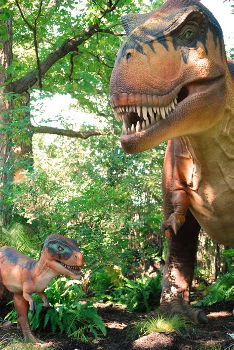 Cjo Photo 10 Fun Facts About Dinosaurs