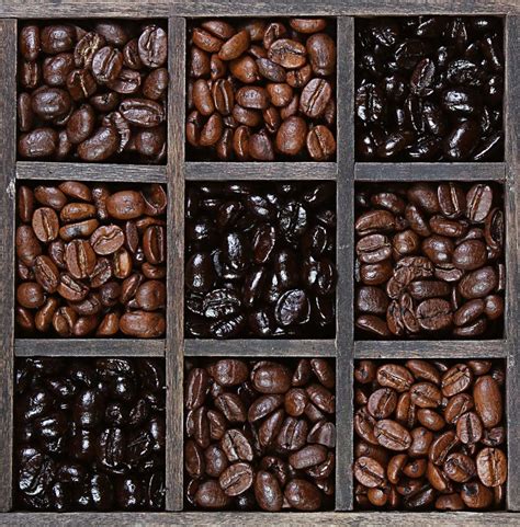 The Color Of Coffee Why Are Beans Different Colors