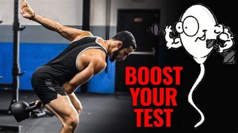 testosterone boosting exercises  workout plan check