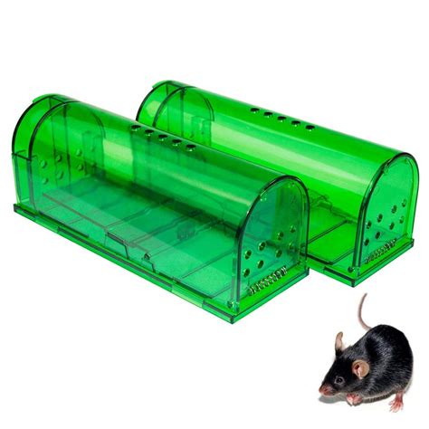 Humane Mouse Trap Mouse Traps That Work Best Mouse Mice And Rat