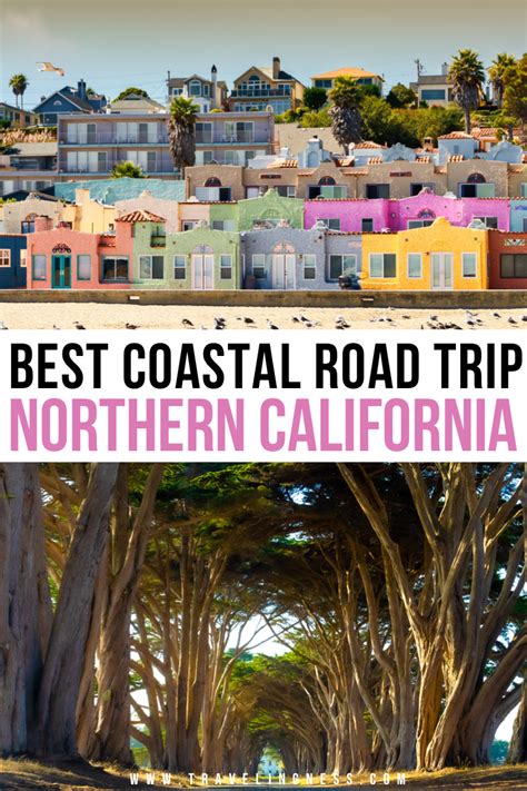 The Best Northern California Coast Road Trip California Coast Road