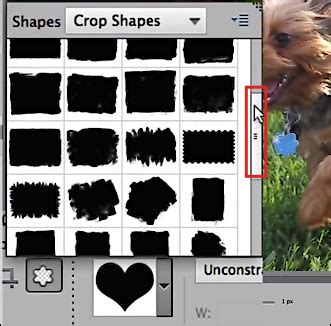 The final image looks like a cutout, but you don't have to crop the picture irreversibly. Crop Photos into Shapes with Photoshop Elements