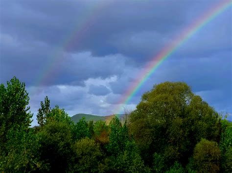 Free Images Rainbow Color Sky Cloud Rain Greenery Nature