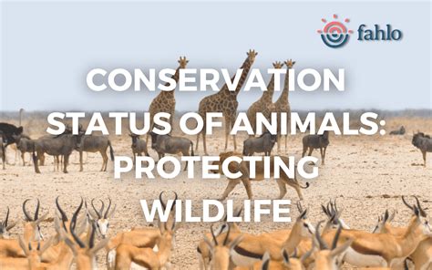Conservation Status Of Animals Protecting Beloved Wildlife Fahlo