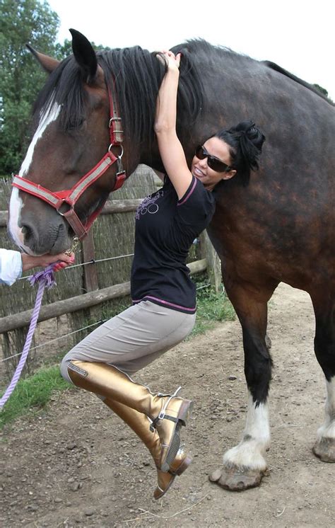 When horse prices plummet, breeders try to race as many horses as they could to. Katie Price is injured after 'bad fall' while horse riding ...