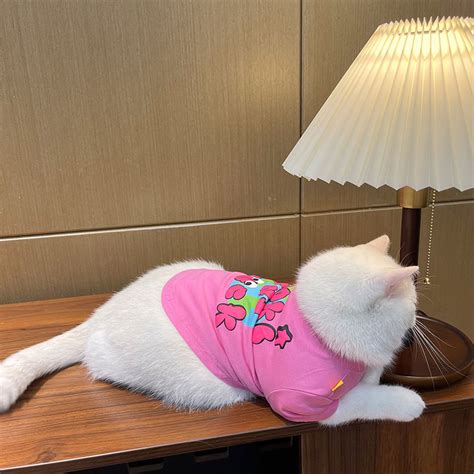 Pink Cartoon Cat Clothes Zezelife