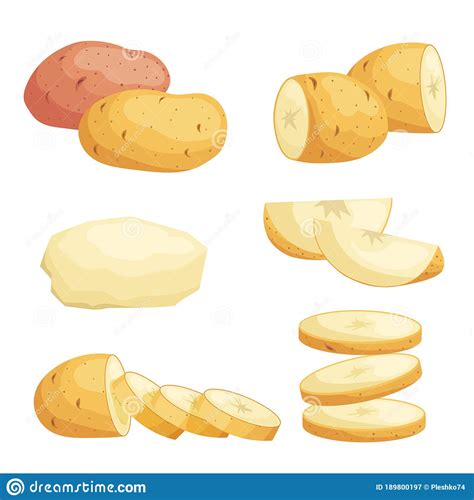 Potatoes In Flat Cartoon Style Set Whole Cut Peeled And Sliced