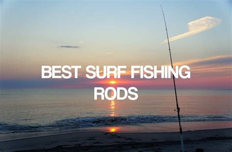 Best Surf Fishing Rods For Every Budget 2023 Reviews Buying Guide