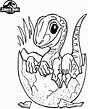 20 Jurassic World Baby Blue Coloring Pages Ideas - Interior Design Ideas