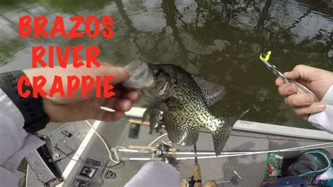 Crappie Fishing The Brazos River Clearwater Creek Youtube