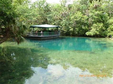 The Best Homosassa Springs State Parks Updated 2024