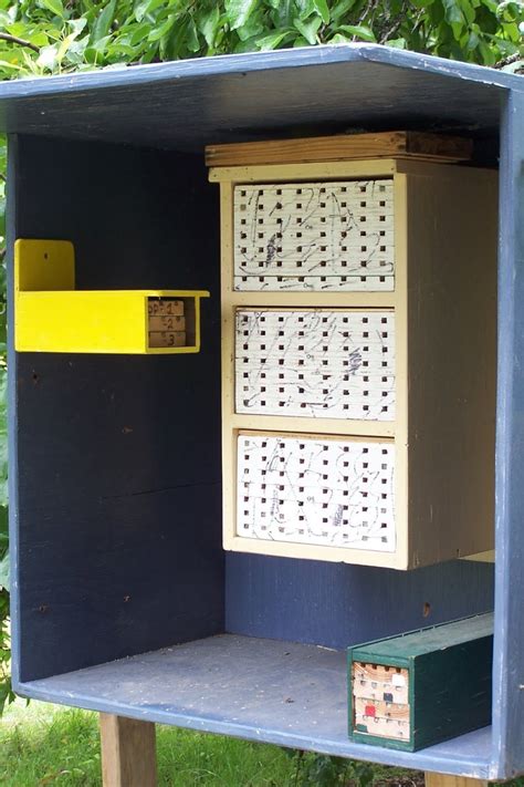 Enjoy a wander around your garden (or along a lane) and collect as many dead and hollow plant stems as you can find. Instructions for mason bee house