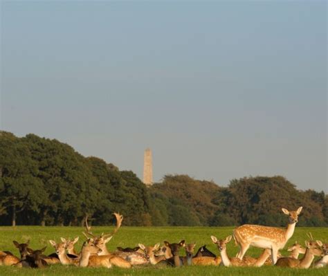Top Dublin Attractions | What To Do In Dublin | The Spencer Hotel