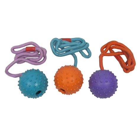 Armitage Goodboy Easy Throw Rubber Ball On Rope Dog Toy