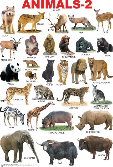 There are several wild animals in africa. Animals 2 Chart Dreamland Animal 2 Chart Make Great First ...