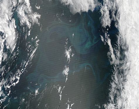 Phytoplankton Bloom In The North Atlantic Ocean