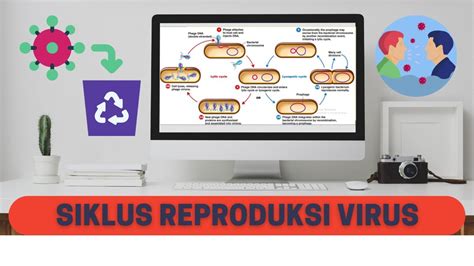 Reproduksi Virus II Daur Litik Dan Lisogenik YouTube