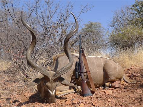 Trophy Kudu Hunting In South Africa Big Game Hunting Adventures