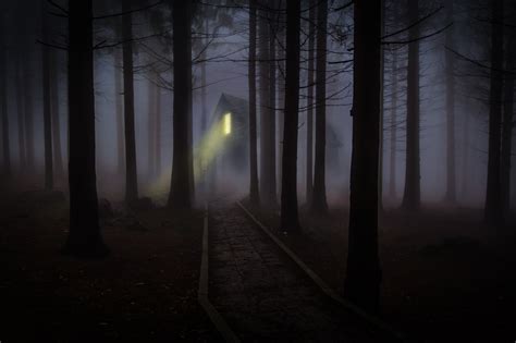 Spooky House In A Foggy Forest 4k Ultra Hd Wallpaper Background Image