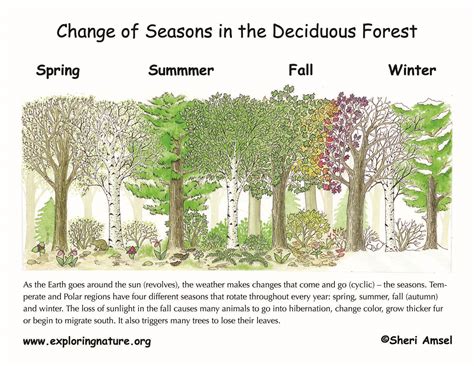 Changing Seasons The Tilted Earth