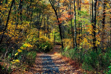 Appalachian Trail Totts Gap To Mount Minsi 2 Landscape Autumn