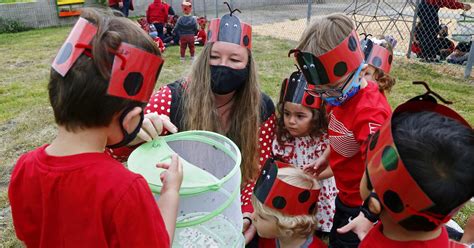 ladybugs are all the buzz as huntington harbour school celebrates earth day los angeles times