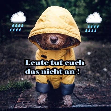 Pin Von Uliurmel Auf Wetter Wetter Regentage Regen Tage