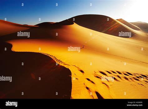 Sand Dune With Footprints At Sunrise Sahara Desert Algeria Stock