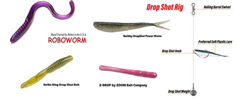 Drop Shot Lures For Bass 5 Best Baits To Use Drop Shotting