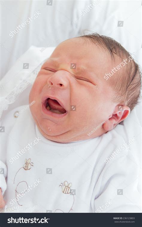 Portrait New Born Baby Crying Stock Photo 236123803 Shutterstock