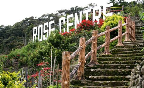 The cameron highlands are in pahang, west malaysia. Shopping | Official Portal of Cameron Highlands District ...