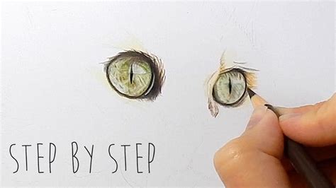 Step By Step How To Draw Color Realistic Cat Eyes With Colored
