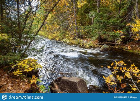 Rapids On A River Through A Forest In Autumn Stock Photo Image Of