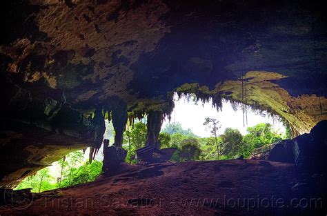 Gua Niah Niah Caves Borneo