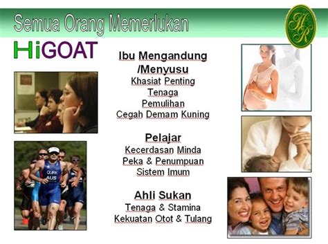 Jual susu kambing higoat premium 1 box isi 20 sachet @21 gram rp. myazarra.blogspot: kebaikan susu higoat - susu kambing