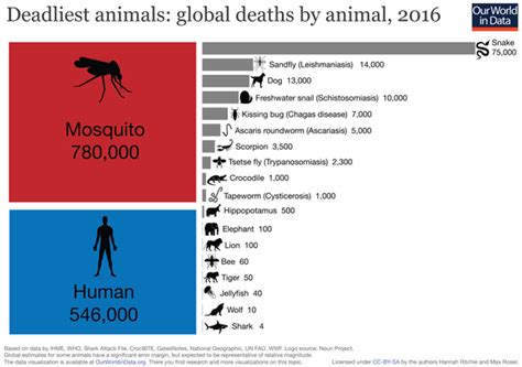 List Of Deadliest Animals To Humans Wikipedia