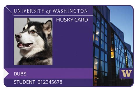 Husky Clipart Washington University Husky Washington University