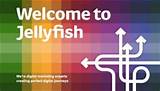 Jellyfish Online Marketing Pictures
