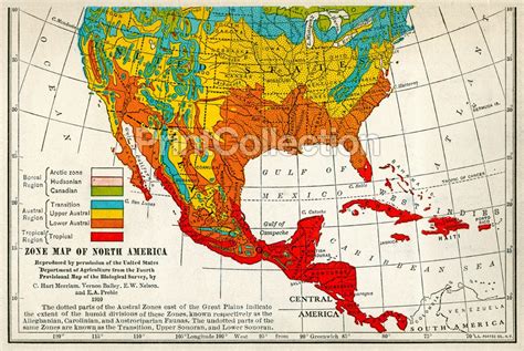 Usda Migration Map Of North American Birds 1910 Maps And