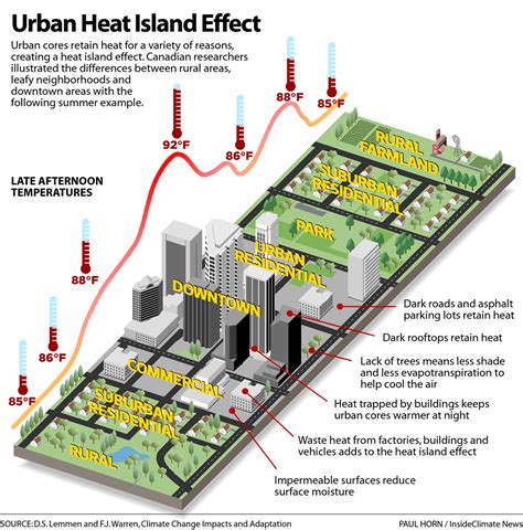Infographic The Urban Heat Island Effect Inside Climate News