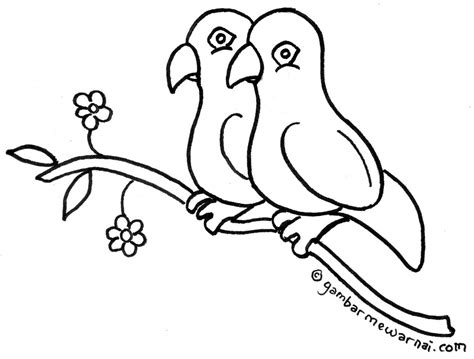 Gambar Mewarnai Burung Lovebird Sketsa Ilustrasi Hewan Dan Buku