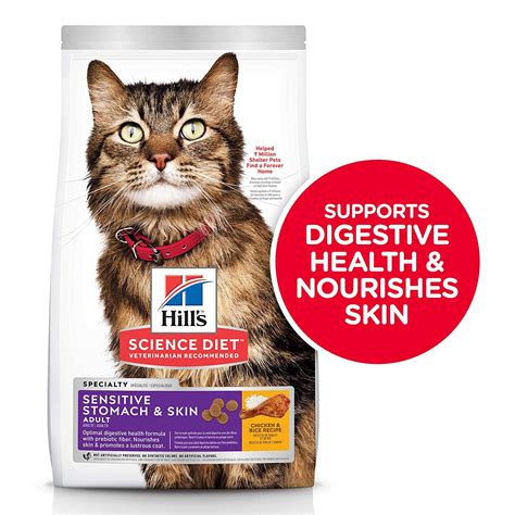 The Best Dry Cat Foods To Treat Diarrhea Ipetcompanion