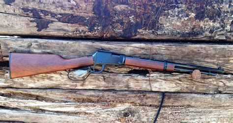 Gun Review Henry 22 Magnum Small Game Carbine
