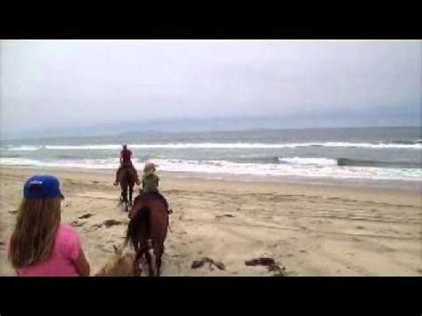 Plan a fun weekend for the family at this place today! Horseback Riding Happy Trails Beach Ride San Diego ...
