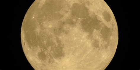 Life on the Moon: NASA Technologist Describes Our Future Lunar Colony