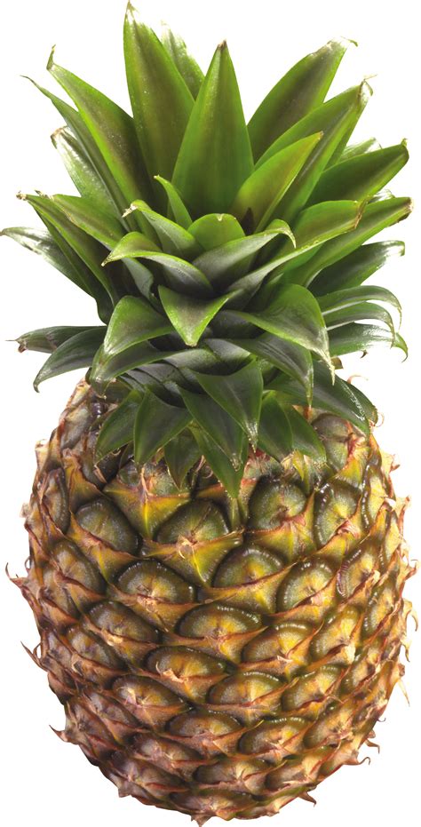 Collection Of Pineapple Hd Png Pluspng