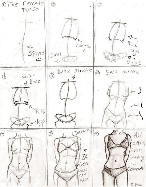 10 Best Drawing Reference Images On Pinterest Female Bodies Art