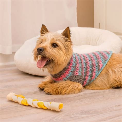 9 Crochet Dog Sweater Patterns For All Sizes Beautiful Dawn Designs