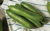 The Crispy Wonder of the Persian Cucumber